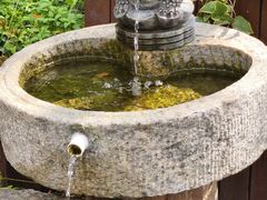 -西郊宾馆·1921餐厅