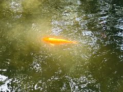 -鼓楼(西湖风景名胜区)