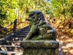 -腾冲云峰山