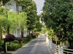 -官房大酒店•驼峰自助餐厅