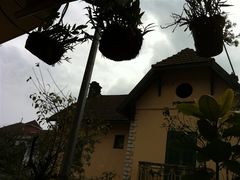 -Trung Nguyen Café Legend