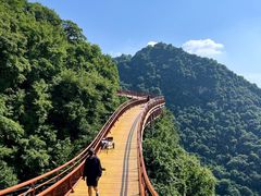 -少华山国家森林公园