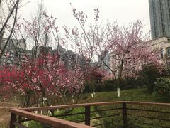 -沐仙湖湿地公园