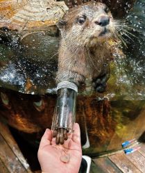 -Zoolung Zoolung动物主题公园(海信广场店)