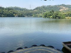 -深圳仙湖植物园