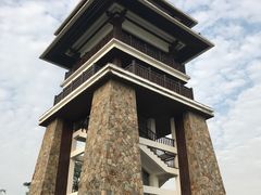-大湾区中央湿地公园