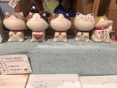 -猫的天空之城概念书店(丽江古城饮玉巷店)