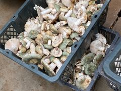 -双喜农庄·菌香园(安居家园店)