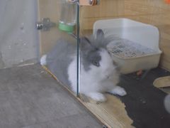 -小意思咖啡店(草桥店)
