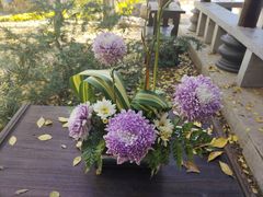 -沈阳植物园