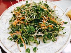 糖醋萝卜苗-青岛锅贴(洛阳路分店)