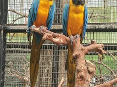 -北京野生动物园