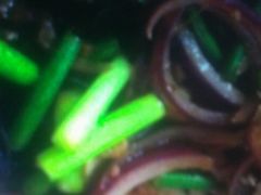 -龙海鲜螃蟹王(宏茂桥店)