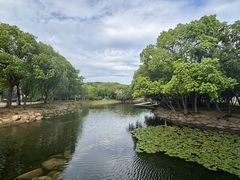 -蠡湖大桥公园