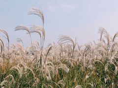 -泰安地下龙宫景区