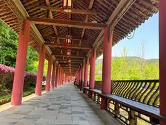 -冶父山国家森林公园