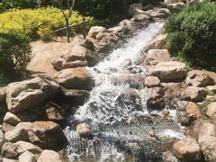 -大连植物园