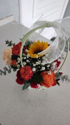 -东方爱堡国际母婴会所(廊坊首店广阳店)