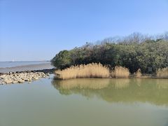 -上海吴淞炮台湾国家湿地公园