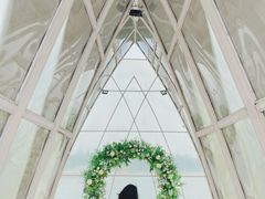 -大塘金香草谷