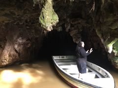 -怀托摩萤火虫洞