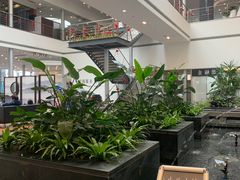 -成都中升之星奔驰4S店