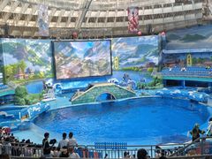 -海合安成都极地海洋公园