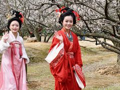 -香雪海