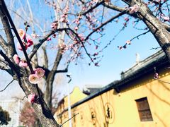 -梅村泰伯庙
