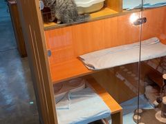 -PETKIT小佩宠物·低压洗护(国顺东路店)