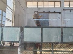 -石家庄市动物园