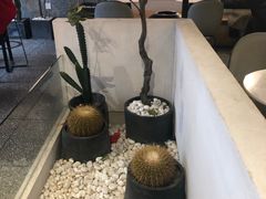 -莓超疯