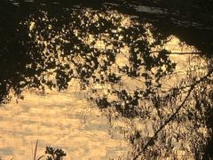 -艾溪湖湿地公园