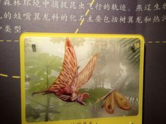 -辽宁古生物博物馆