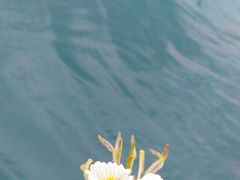 -丽江泸沽湖景区