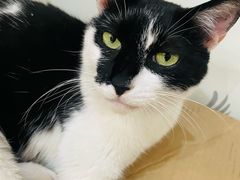 -铸信羽毛球俱乐部