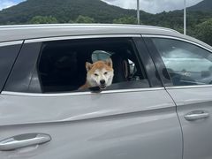 -东海半边山旅游度假区