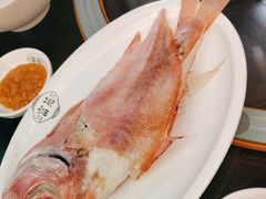 -吴记富苑(朝阳店)