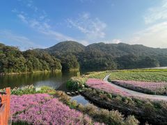 -广州市石门国家森林公园