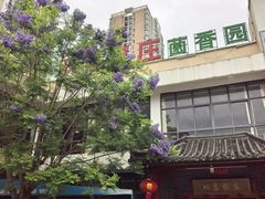 -双喜农庄·菌香园(安居家园店)