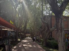 -西安电影制片厂