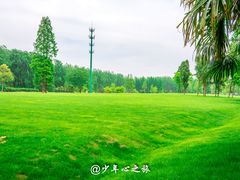 -黄海国家森林公园