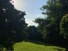 -立新湖公园