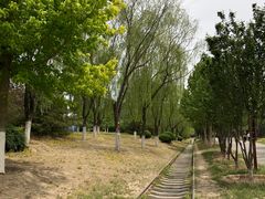 -永定河休闲森林公园