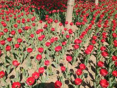 -长春公园(普阳街道)