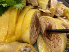 -九斤黄三黄鸡专卖店