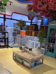 -开心哈乐儿童主题乐园(孙河易事达店)