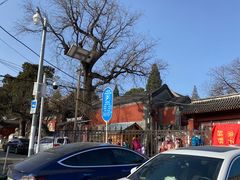-大觉寺-停车场