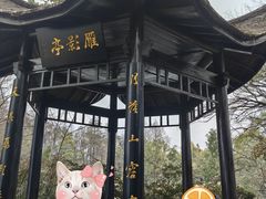 -东湖落雁景区