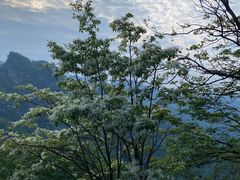 -武当山风景区